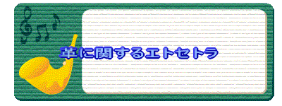 �z�[���y�[�W �^�C�g��